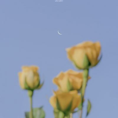 点道为止手机版(暂未上线)v1.2.0 安卓版