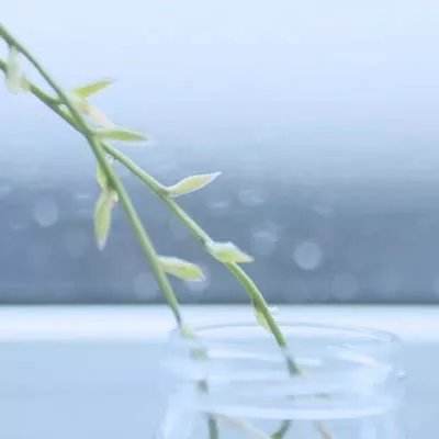 一骑当千千军斩内购破解版下载